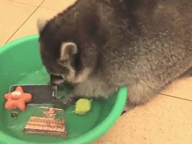 π€