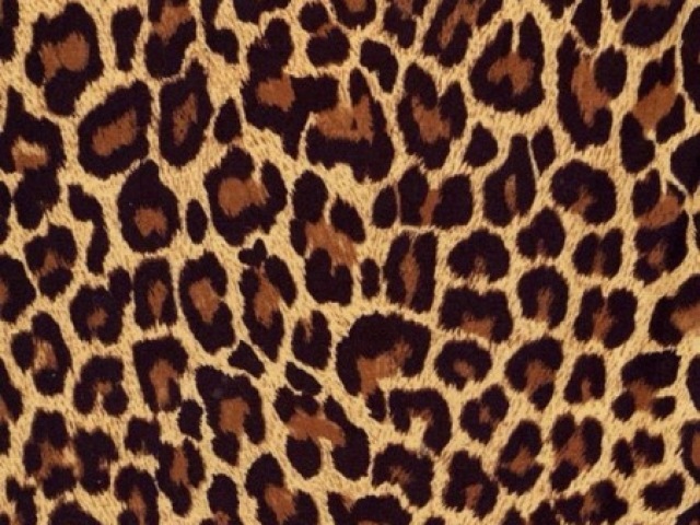 Animal print