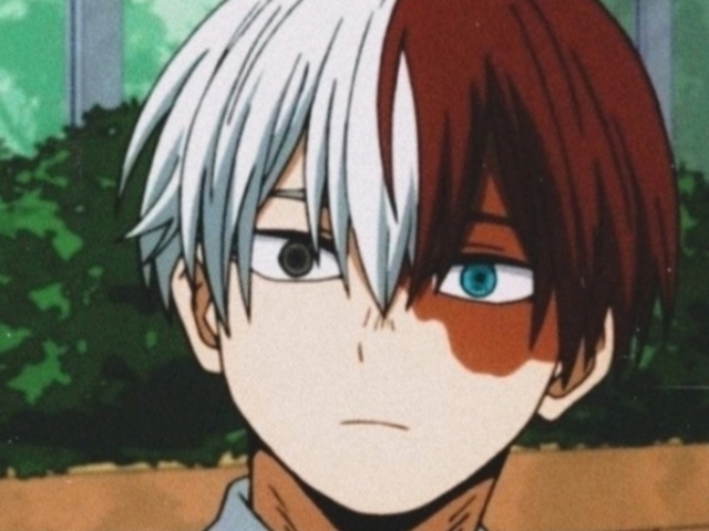 Shoto Todoroki