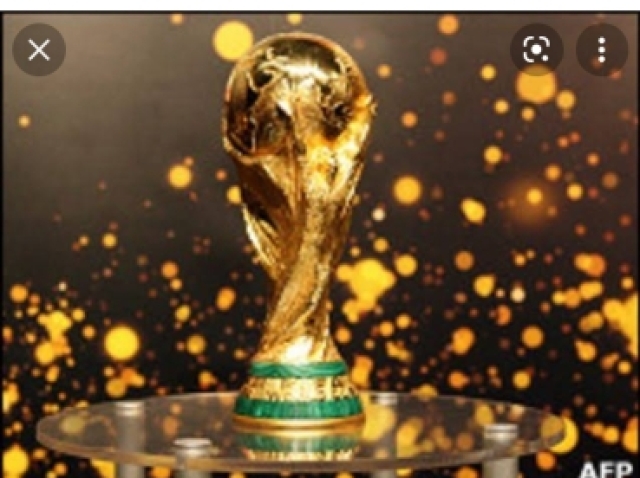 Parabéns você sabe tudo sobre a copa