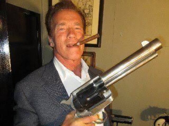 Arnold swasnigger