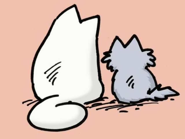 Que gato meme combina com você?