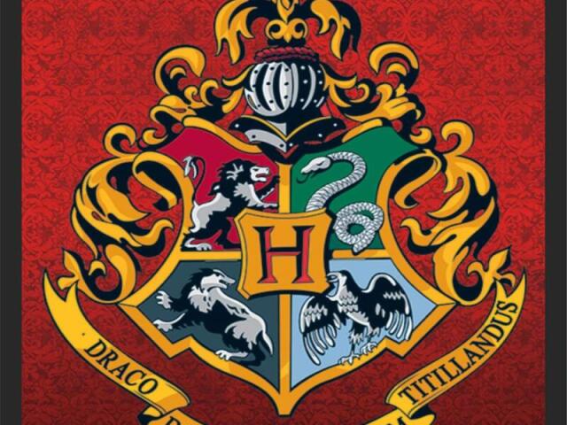 Quem você é no universo de Harry Potter?