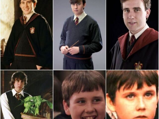 Quais são seus conhecimentos sobre Neville Longbottom?