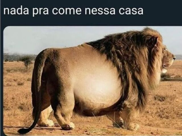 Não quero/ Já escolhi/ Cabou a comida😥