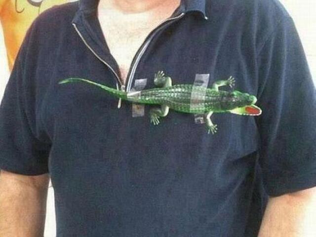 lacoste original simbolo 3d ultra realista