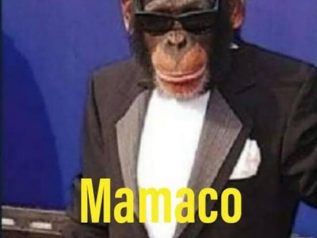 Macaco 😎