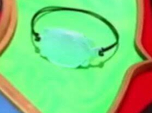 Miraculous da Tartaruga