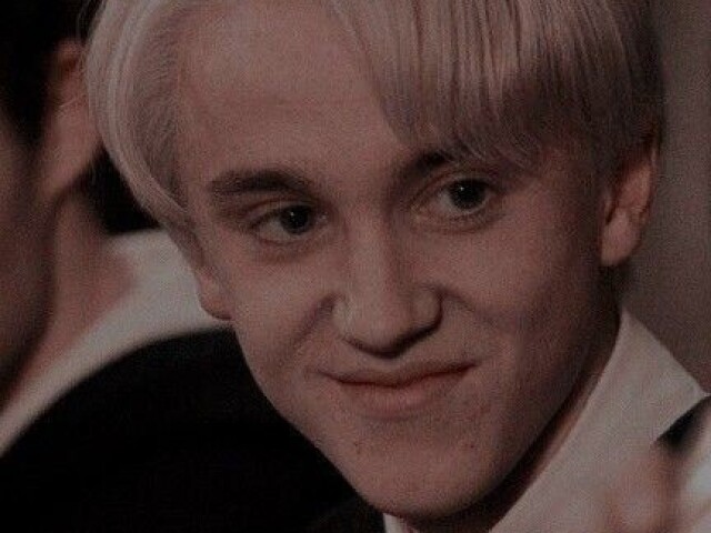 Quem você seria Harry Potter?