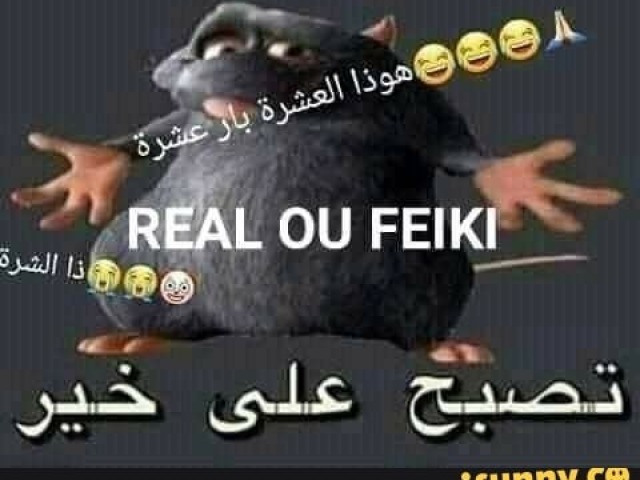 Real ou feiki