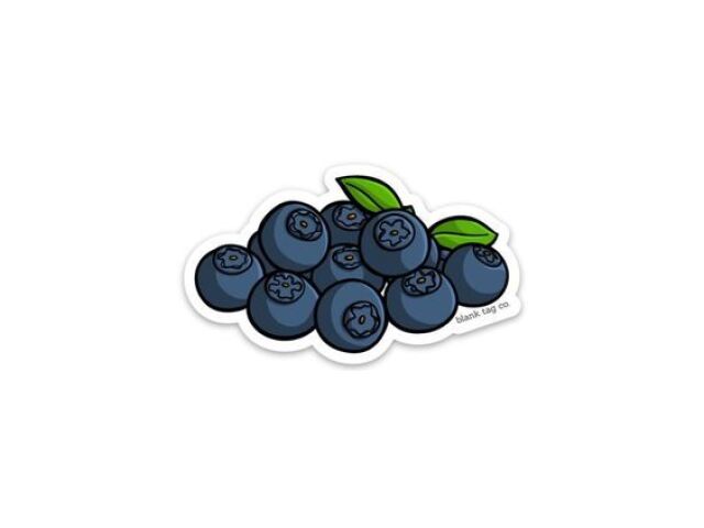 Blueberry