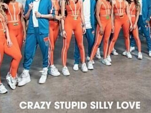 Crazy Stupid Silly Love