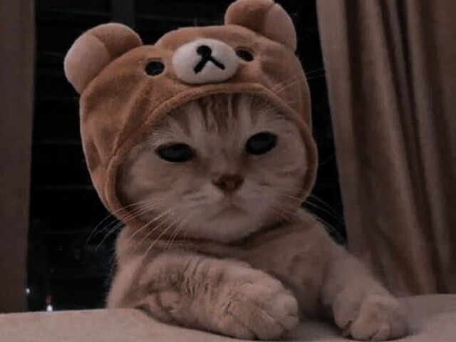 ๐๐๐๐๐ !