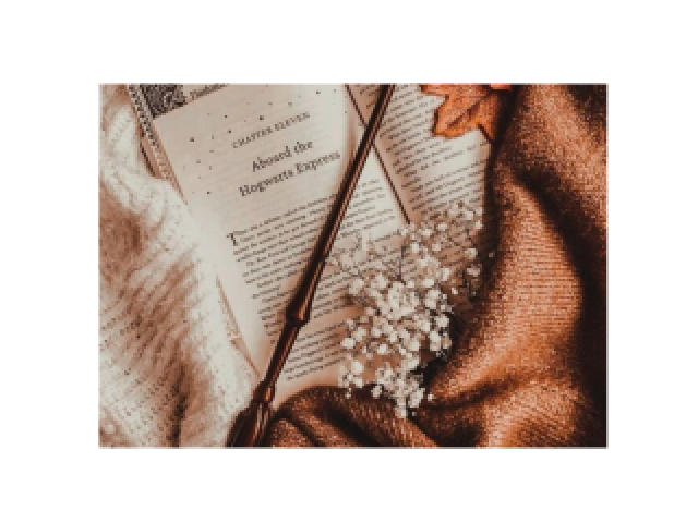 Potterhead