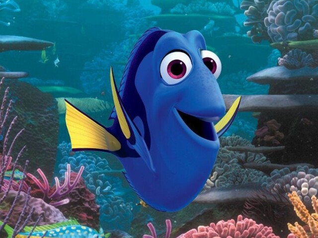 Dory