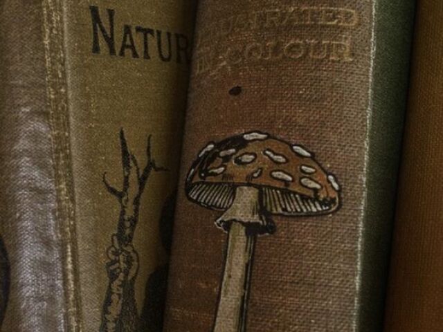 Livros