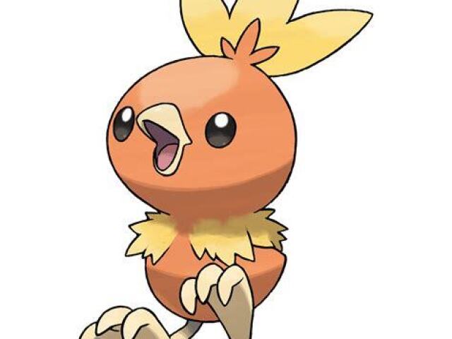 Torchic