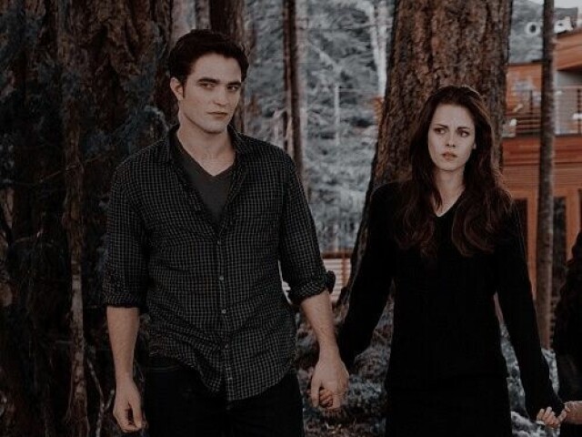 Edward e Bella tiveram que fazer compras e a casa dos cullens estava trancada para nenhum outro clã assaltar ou averiguar o tem dentro