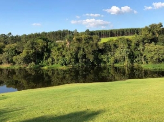 Você tem uma vista de um lago, da sua janela é possível ver capivaras nadando e garças sobrevoando o lago.