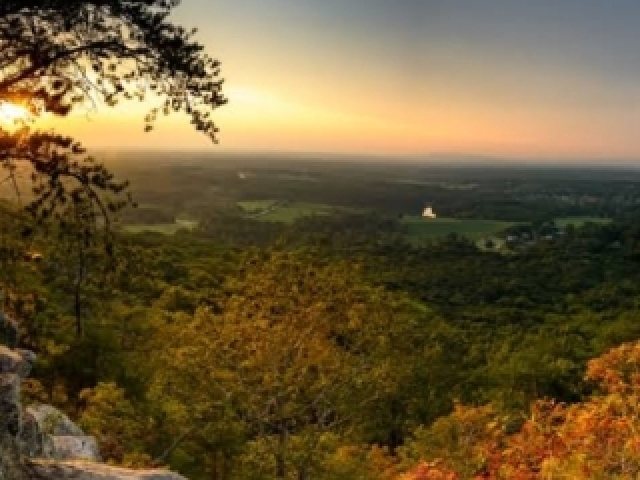 Sua vista é uma grande floresta, você sempre acorda com o barulho dos pássaros e o silêncio da mata.