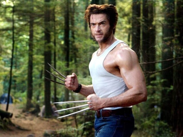 Wolverine