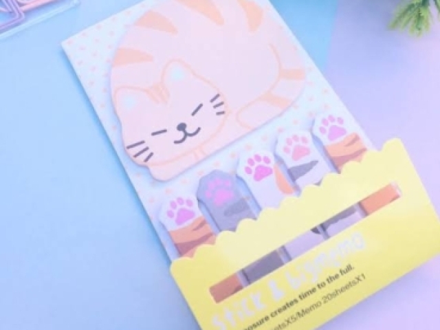 GatinhoπΊ