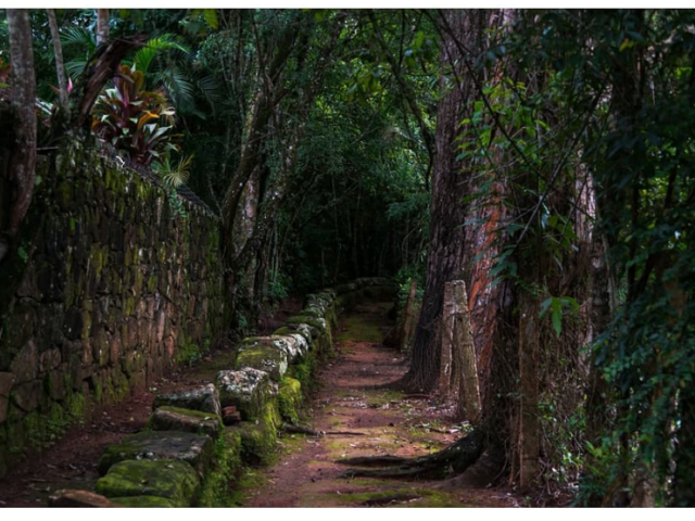 Bosque Encantado