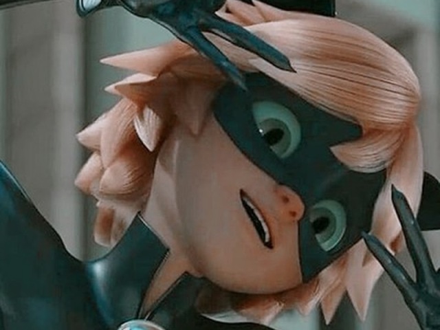 100% Chat Noir