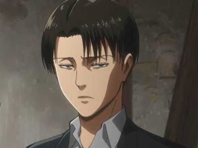 Levi