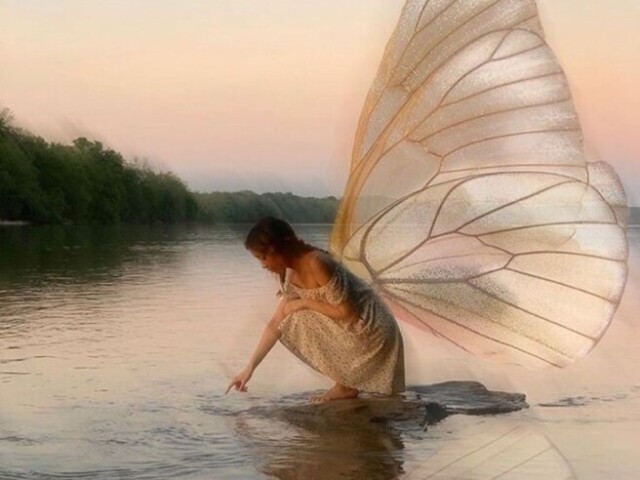 Fairy Core