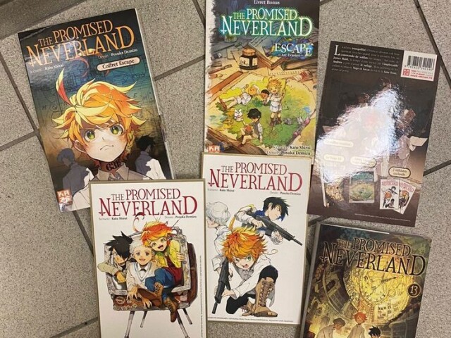 The promise Neverland