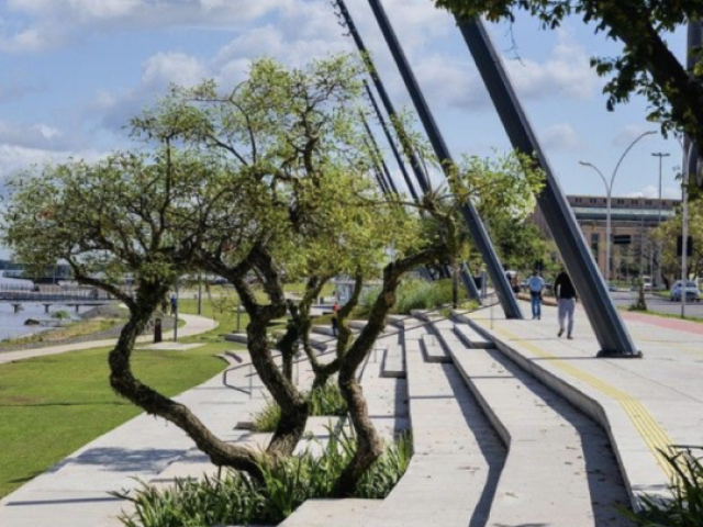 Ler num parque, andar de bicicleta