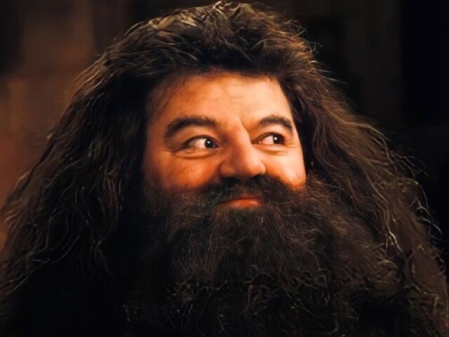 Decisão de Rúbeo Hagrid