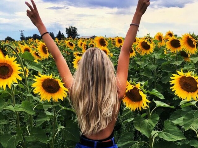 Monte seu dia perfeito 💖🦋🌻