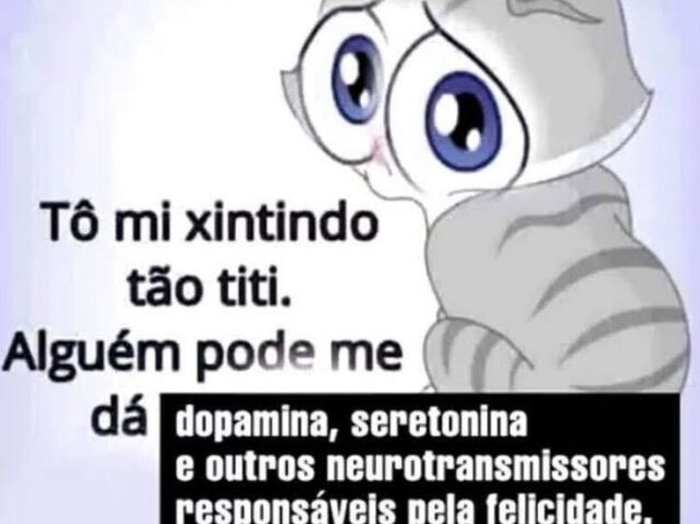 O maior meme de todos é o meme que é a minha vida