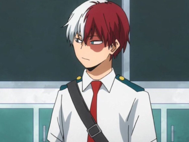 Shoto Todoroki 🔥❄️