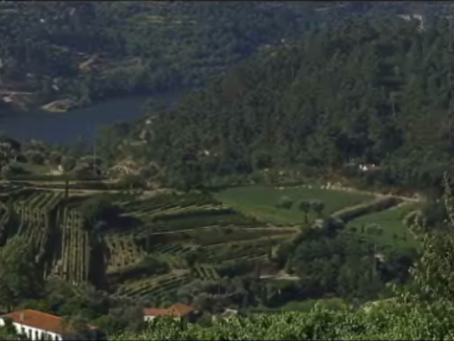 Vinho da Madeira, Portugal