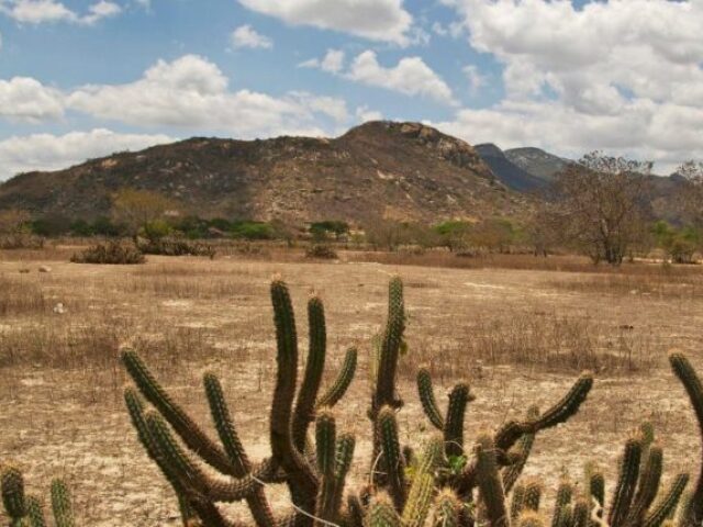 Chuvas irregulares e escassas, altas temperaturas e baixa umidade relativa do ar são as principais características. 