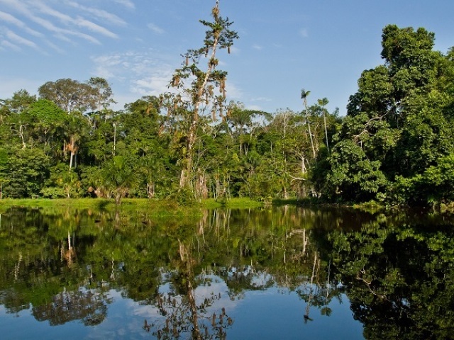 É quente e úmido. Tem pouca variação térmica durante o ano, em média de 25ºC. No clima Equatorial, há chuva abundante durante todo o ano.