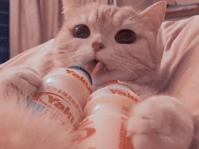 Soft