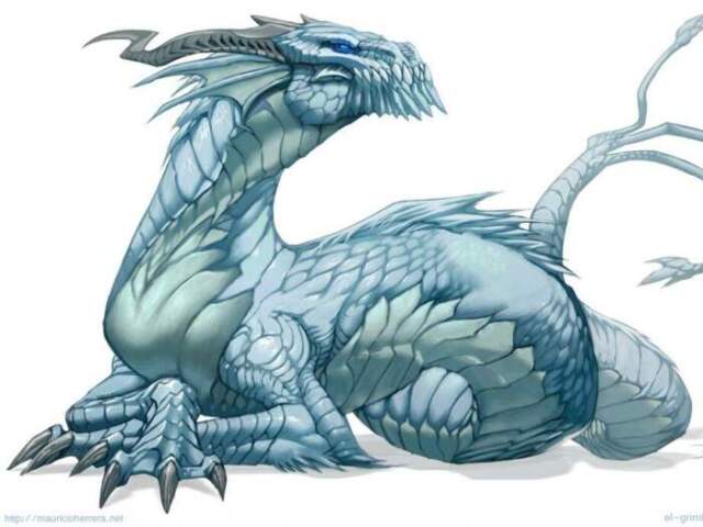 Aragon, o guarda