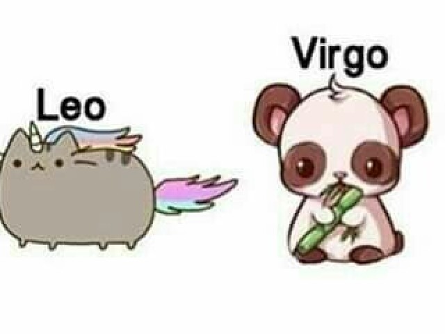 ♌ leão e virgem ♍