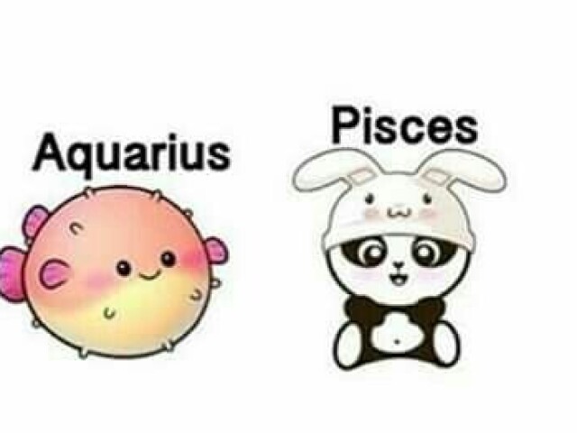 Aquário ♒ e peixes ♓