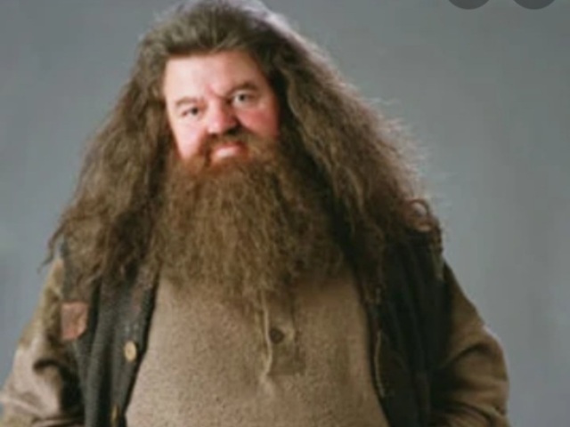 Hagrid