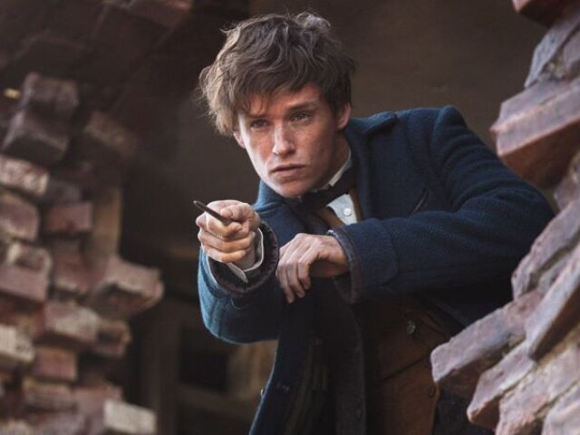 Newt Scamander