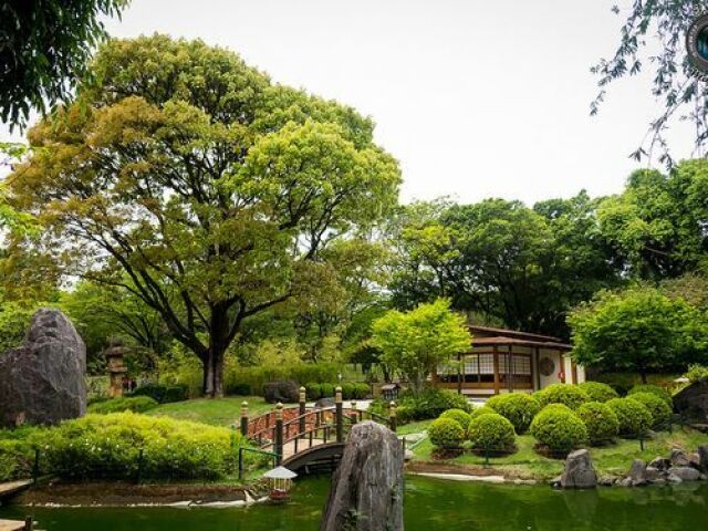 ao jardim zoológico