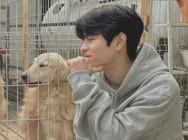 Adotar um doguinho com o Seungmin