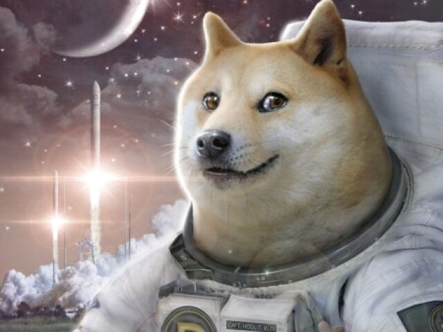 •°Cachorro caramelo astronauta°•