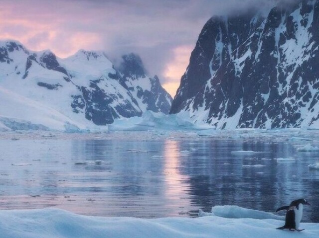 Antarctica