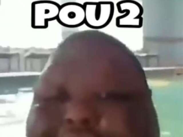 Pou 2